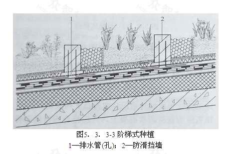 台地式种植屋面应采用现浇钢筋混凝土结构,并应设置排水沟(图5.3.